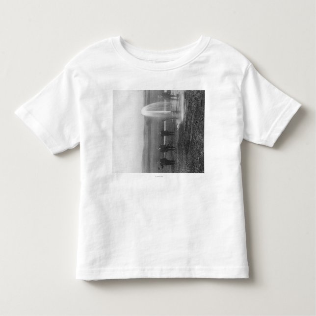 A Flowing Well in the Judith BasinMontana Toddler T-Shirt (Front)