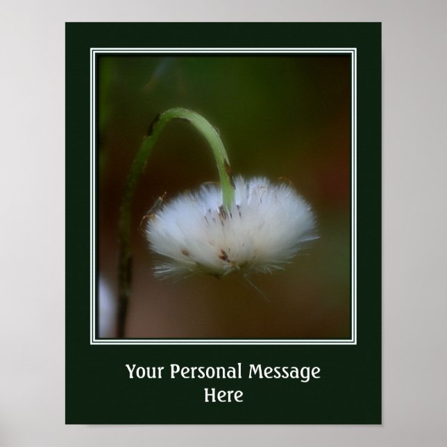 A Fluffy Flower Create Your Own Personalised Poster (Front)