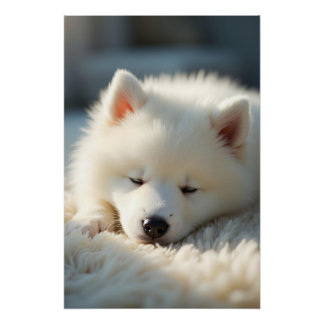 A fluffy Samoyed puppy sleeping peacefully Poster