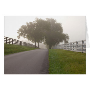 A Foggy Bluegrass Morning
