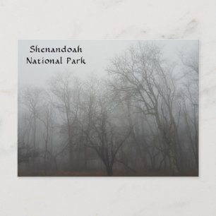 A foggy day on the Skyline Drive in Virginia Postcard