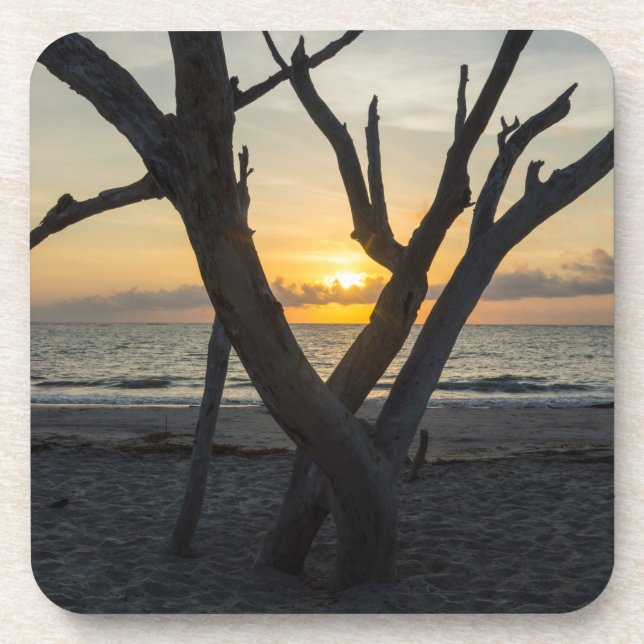 A Folly Sunrise Coaster (Front)