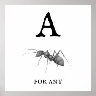 "A" for Ant  Poster