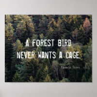 A Forest Bird Never Wants A Cage Design
