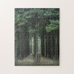 A Forest Path - New Growth - Trees - Pine Trees - Jigsaw Puzzle