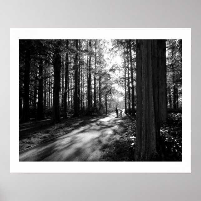 A Forest Walk: Mizumoto Park, Tokyo Poster (Front)