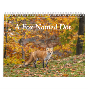 A Fox Named Dot. Calendar