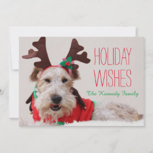 A fox terrier is dressed up for Christmas Holiday Card