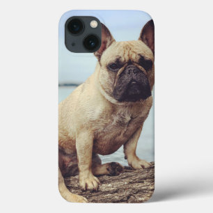 A French Bulldog iPhone 13 Case