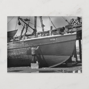A Fresh Coat, 1942 Postcard