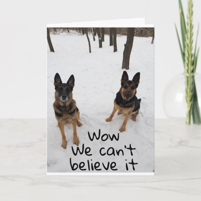 A FRIEND AND I SAY "HAPPY BIRTHDAY" VETERINARIAN CARD (Front)