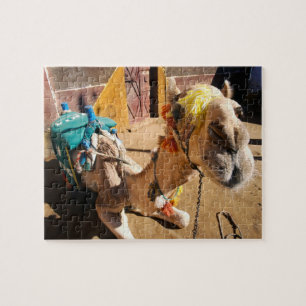 A friendly camel awaits its next rider, Cairo, Jigsaw Puzzle