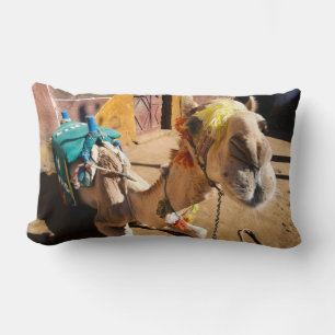 A friendly camel awaits its next rider, Cairo, Lumbar Cushion