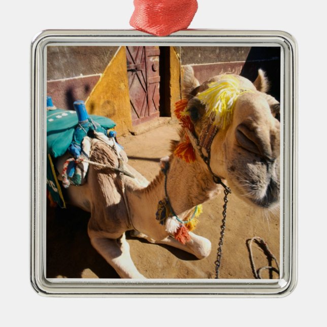 A friendly camel awaits its next rider, Cairo, Metal Tree Decoration (Front)
