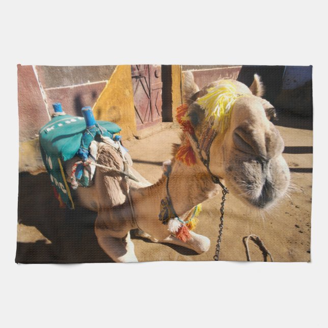 A friendly camel awaits its next rider, Cairo, Tea Towel (Horizontal)