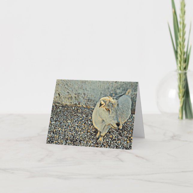 A Friendly Goat Says Hello - Blank Card (Front)