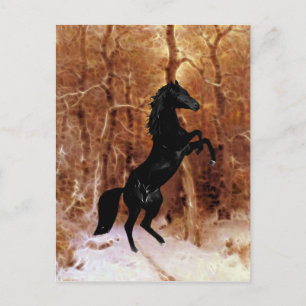 A friesian in winter snow postcard