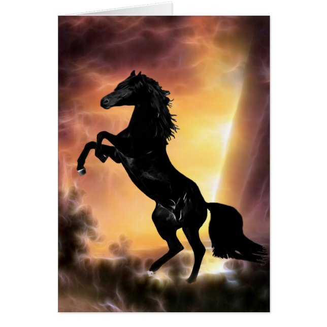 A Friesian Stallion horse rearing (Front)