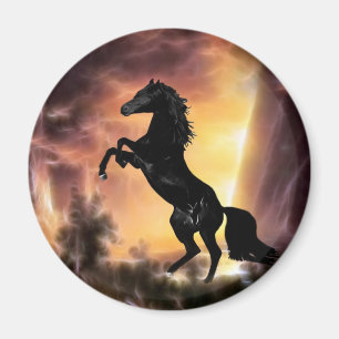 A Friesian Stallion horse rearing Magnet