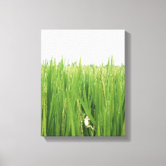 A Frog Climbing Up Fresh Grasses Canvas Print
