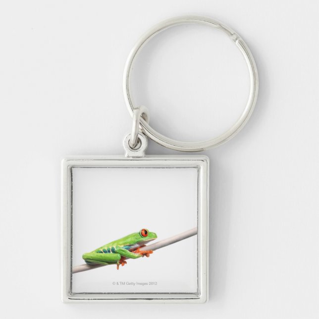 A frog hanging on key ring (Front)