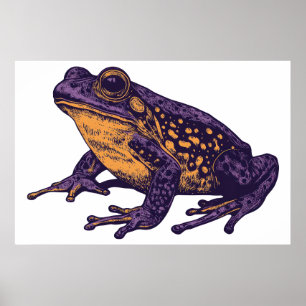 A frog illustration - large poster