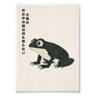 A frog in a well knows nothing of the great sea photo print