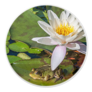 A frog under a flower of water lily ceramic knob