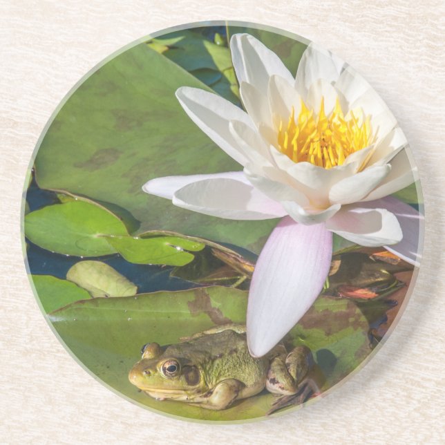 A frog under a flower of water lily coaster (Front)