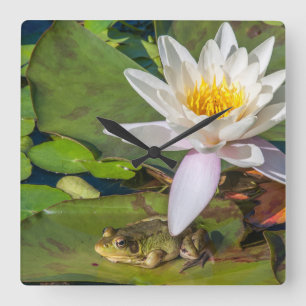 A frog under a flower of water lily square wall clock