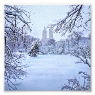 A Frozen Pond In Central Park Photo Print