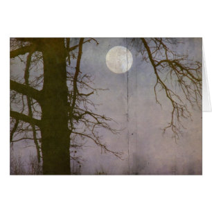 A Full Moon