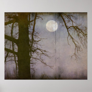 A Full Moon Poster