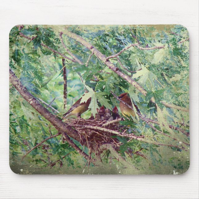 A Full Nest, Parents and Baby Birds Mouse Pad (Front)