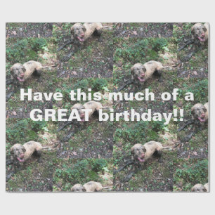 A funny Hungarian Vizsla roll of wrapping paper