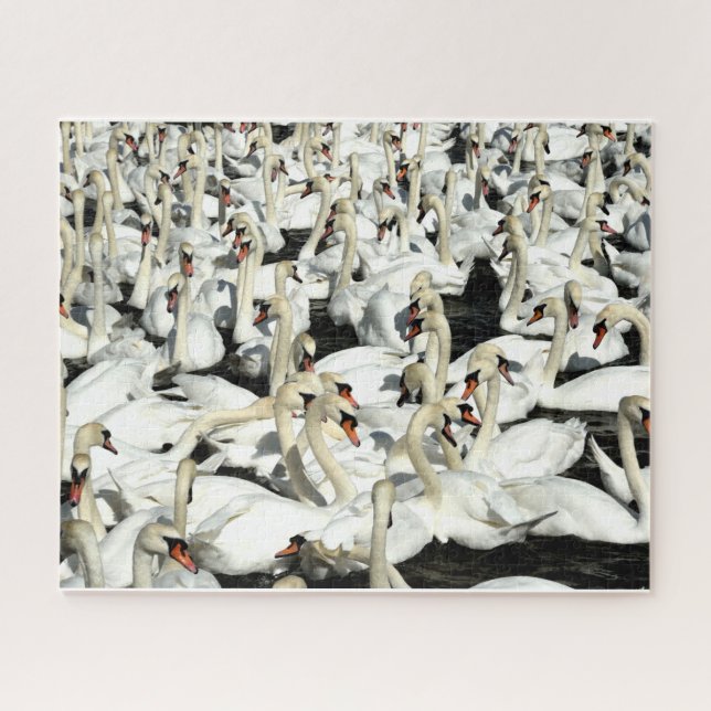 A Gaggle of Geese Puzzle (Horizontal)