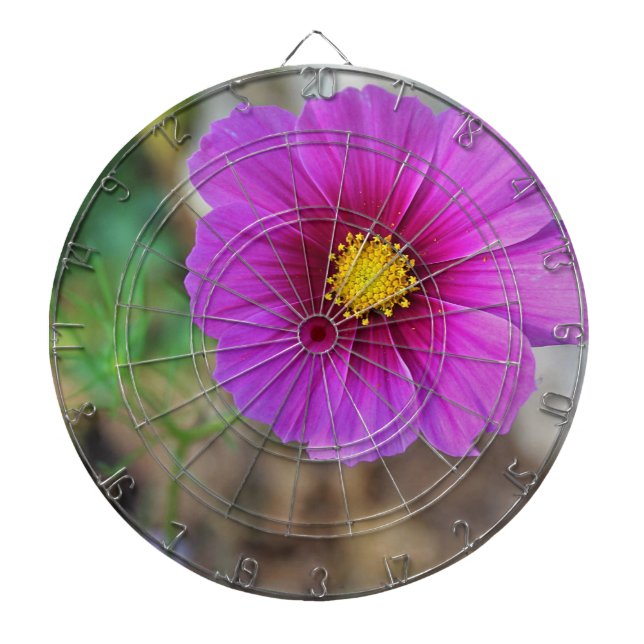 A Galaxy Inside a Flower Dartboard (Front)