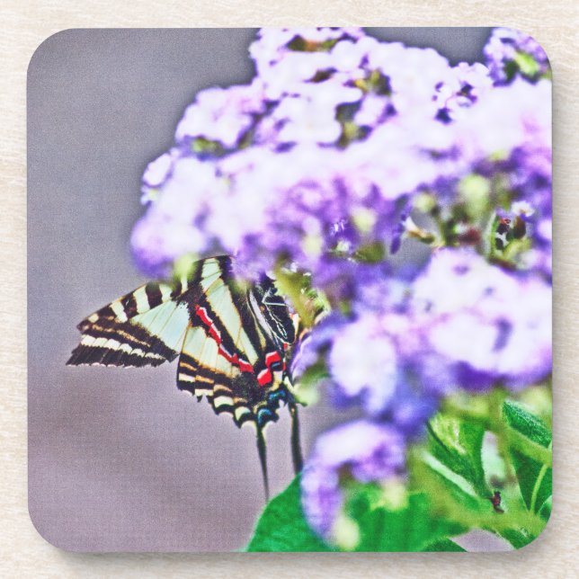 A Game of Hide and Seek Coaster (Front)