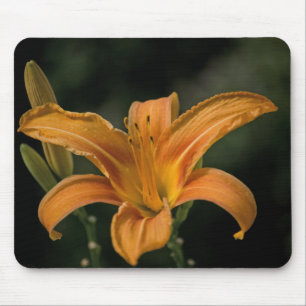 A Garden Delight Mousepad