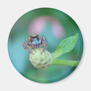 A Garden Friend! Magnet