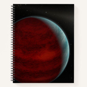 A Gas Giant Planet Around A White Dwarf Star. Notebook