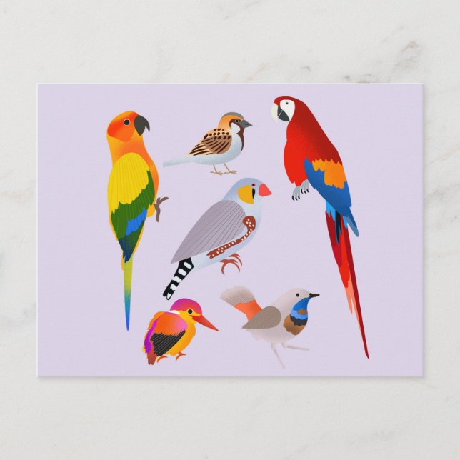 A Gathering of Birds Postcard (Front)