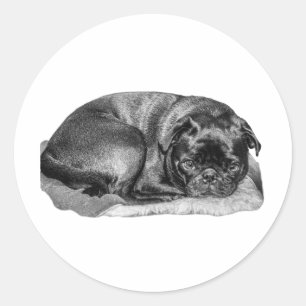 A Gentle Look Back Classic Round Sticker