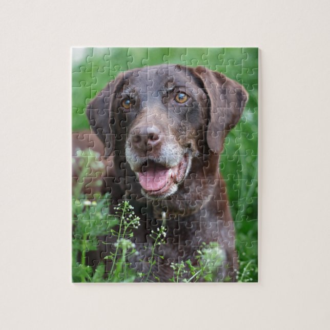A German Shorthaired Pointer dog in the grass Jigsaw Puzzle (Vertical)
