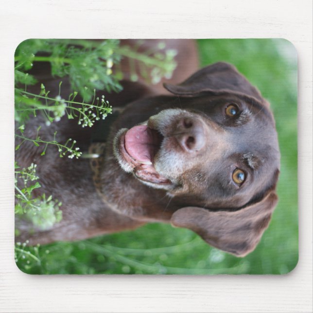 A German Shorthaired Pointer dog in the grass Mouse Pad (Front)