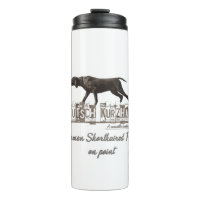 A German Shorthaired Pointer on point  