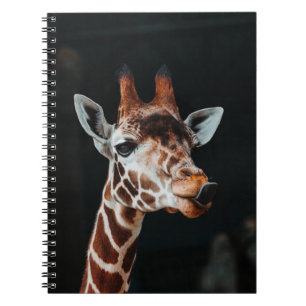 A GIRAFFE AT CALGARY ZOO POKING HIS TONGUE OUT NOTEBOOK