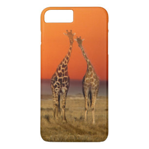 A Giraffe couple walks into the sunset, in iPhone 8 Plus/7 Plus Case