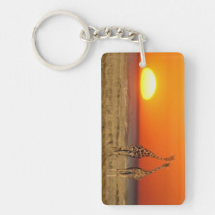 A Giraffe couple walks into the sunset, in Key Ring