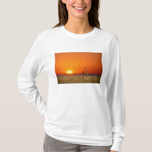 A Giraffe couple walks into the sunset, in T-Shirt